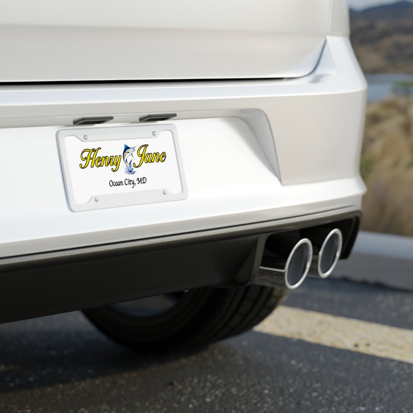 License Plate - 'Henry Jane'